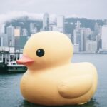 Pitfalls - yellow duck on water near city buildings during daytime
