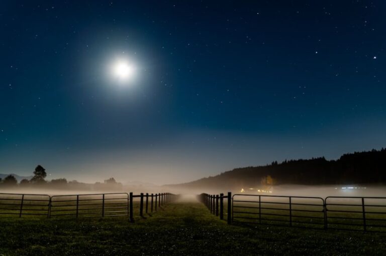 Setting - silhouette of fence on green grass field during night time