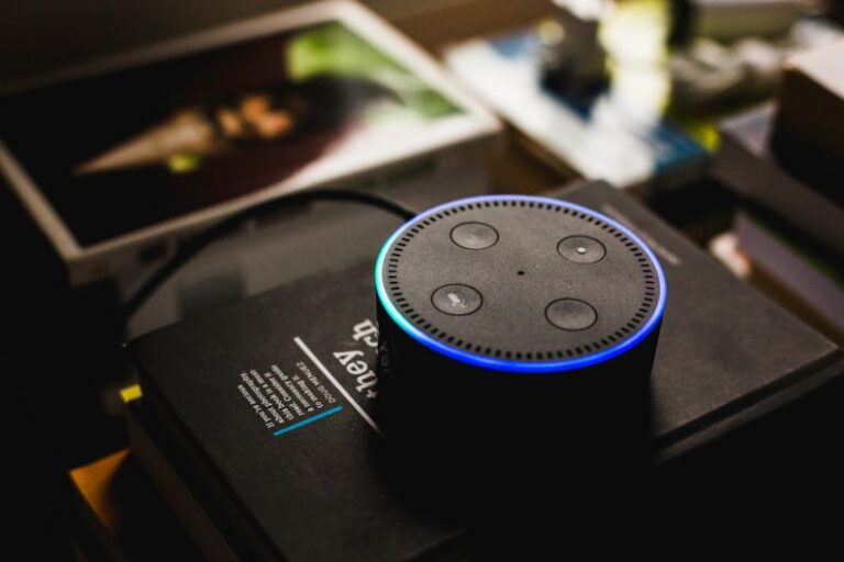 Voice Search - Amazon Echo dot